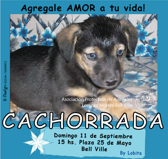 cachoorada_en_flor