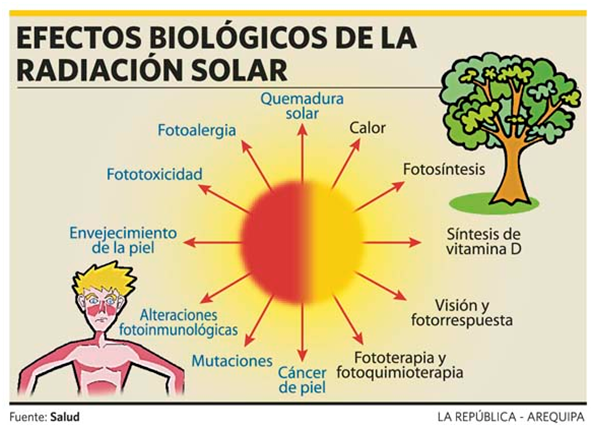 El medio para la depuración de los tiempos sobre la persona por el carbón activo